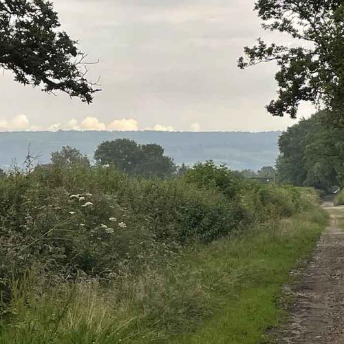 kilmington-devon-700x700