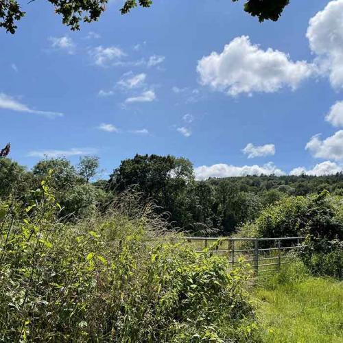 kilmington-hill-700x700