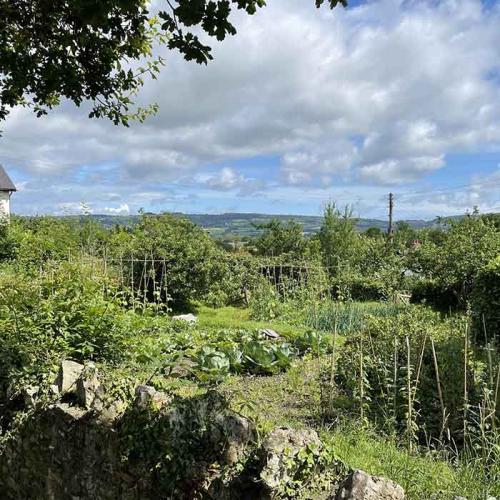 local-allotment-700x700
